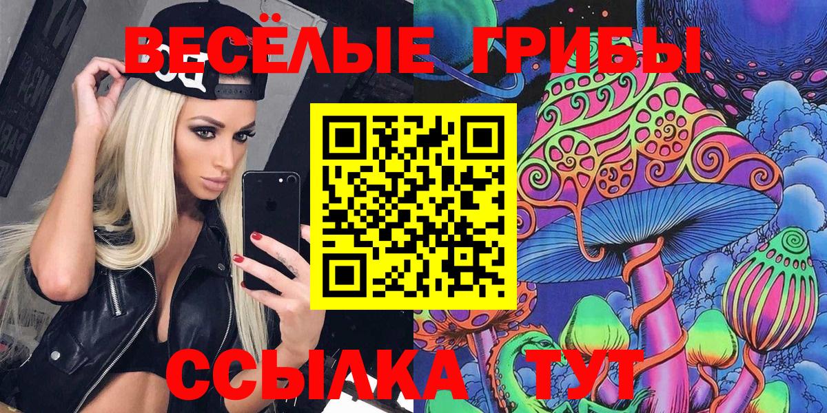 Псилоцибиновые грибы прущие грибы  Вход с VPN  Белово 